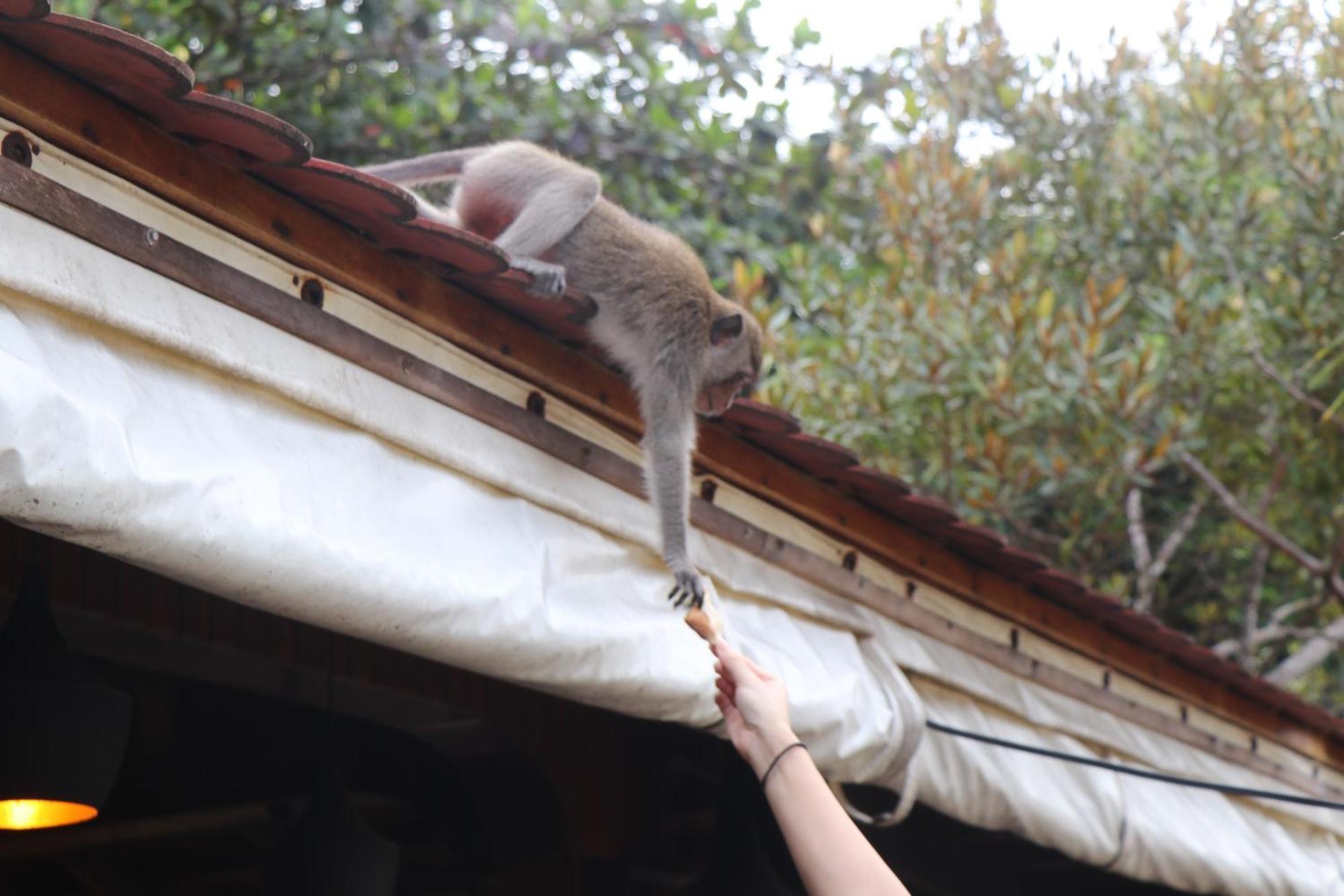 Tree House Bungalows Kaoh Touch Εξωτερικό φωτογραφία
